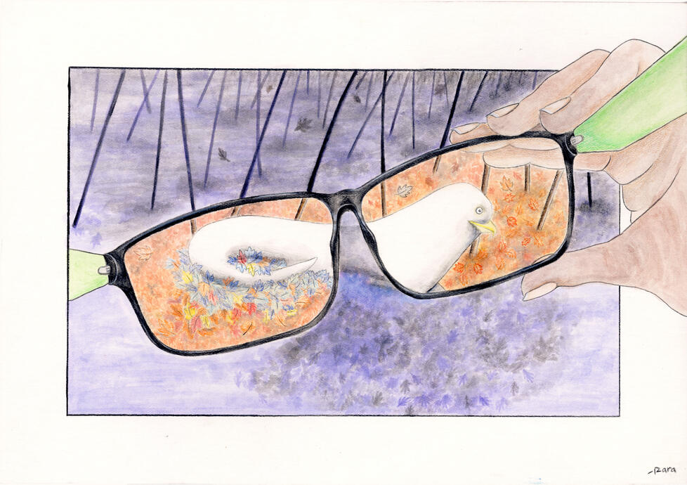 Anonymous Spirit Animal